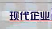 MBA现代企业高级管理人员培训教程